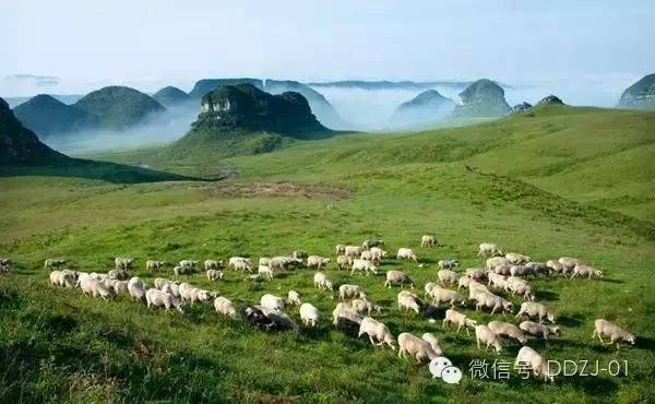 胡彥散文:夜郎靈韻 胡彥散文:夜郎靈韻