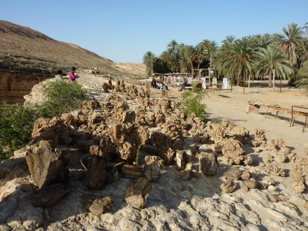 「突尼西亞2014」託澤尓（一）&mdash;&mdash;沙漠中的綠寶石