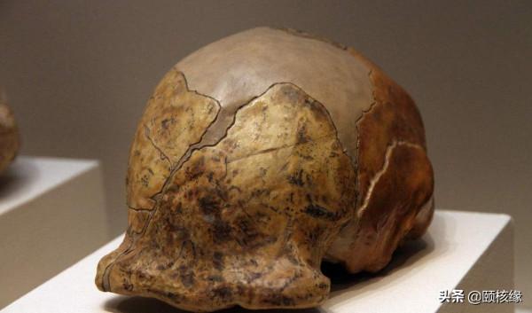 被掠奪的中國文物，竟然成了他國的國寶