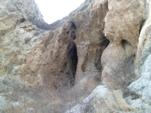 動物故事:受傷狼王在洞中等死,被流浪狗意外搭救,一起重返狼群 動物故事:受傷狼王在洞中等死,被流浪狗意外搭救,一起重返狼群