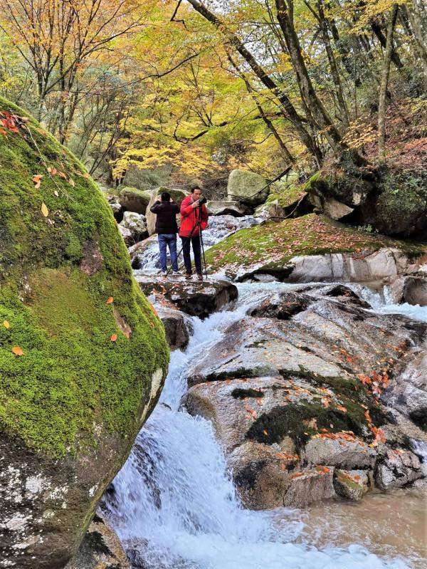 秘境南壩溝——四川光霧山 秘境南壩溝——四川光霧山