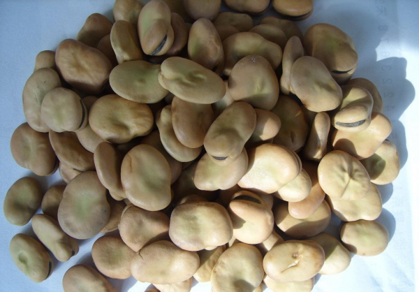 秋冬野釣大板鯽,就用這些自制餌,效果誰用誰知道 秋冬野釣大板鯽,就用這些自制餌,效果誰用誰知道