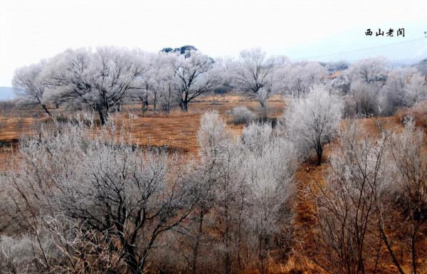 鐵坨山不是北京百慕大 鐵坨山不是北京百慕大