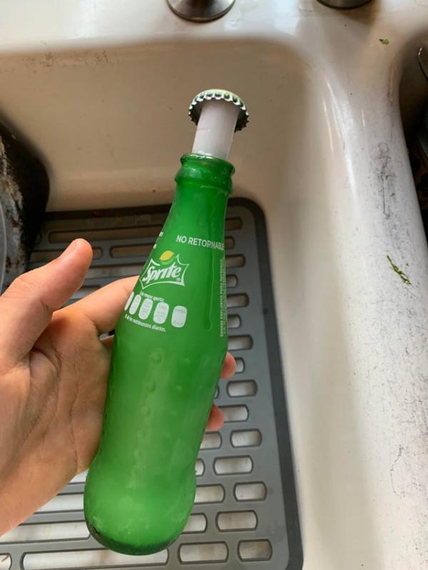 24張“活久見”的照片，狗狗竟用武器決鬥，山羊也能爬樹？