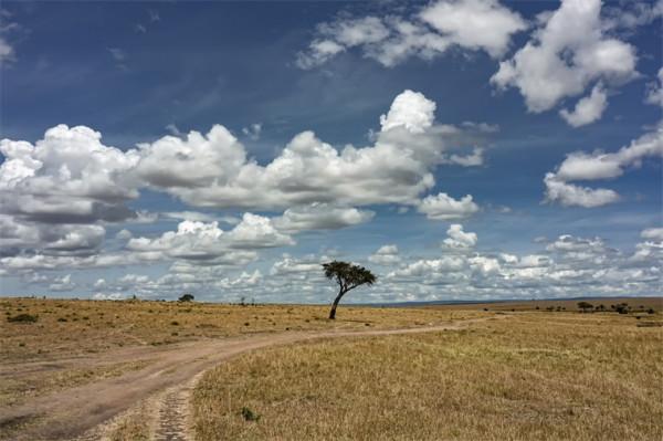 面對欺凌事件,這種小動物會在晚上不給欺凌者好臉色看 面對欺凌事件,這種小動物會在晚上不給欺凌者好臉色看