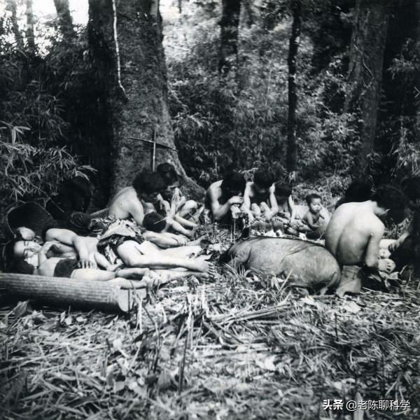 經驗豐富的地質隊員為何殞命哀牢山？楊光海拍“苦聰人”或有答案