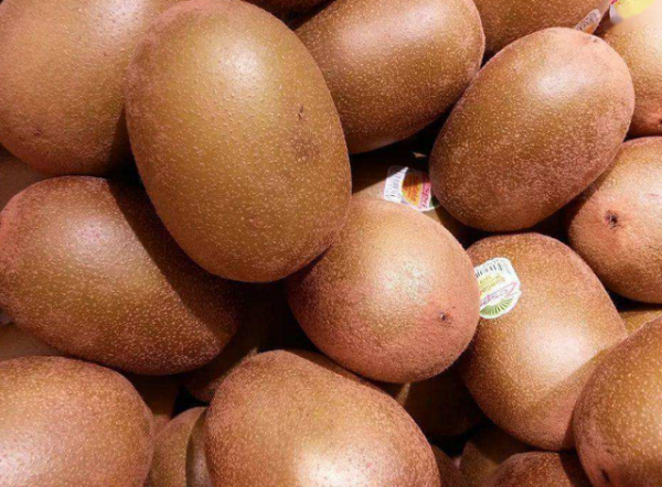 免疫力低的孩子，不妨多吃這7種食物，或有助於提升免疫力