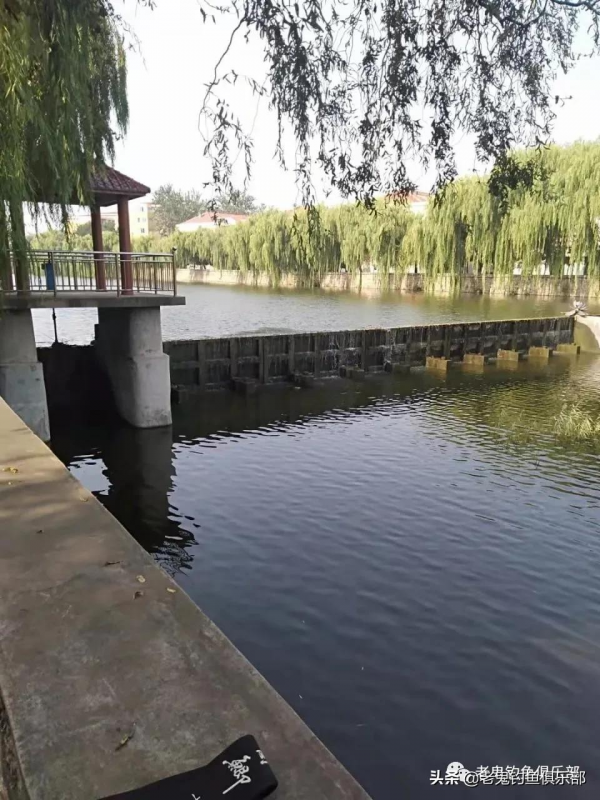 野釣智鬥小雜魚 野釣智鬥小雜魚