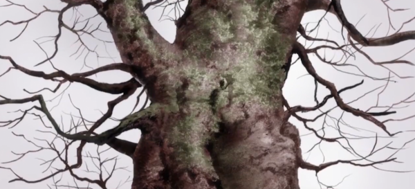 《蟲師》:祖孫8代男子都愛她,為她長生不老,不惜殘害無辜少女 《蟲師》:祖孫8代男子都愛她,為她長生不老,不惜殘害無辜少女