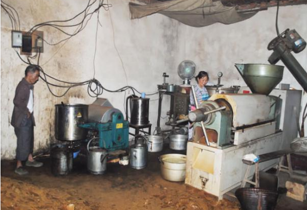 農村的“自榨油”不如超市桶裝油？為何很多人還特意去農村購買？