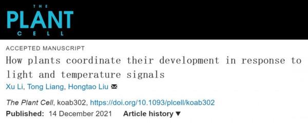 劉宏濤研究組發表植物應對環境光溫變化調控發育的綜述論文
