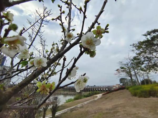 朋友圈2021年第31期