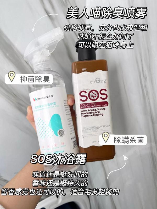 養寵到底怎麼做屋裡面才不會臭