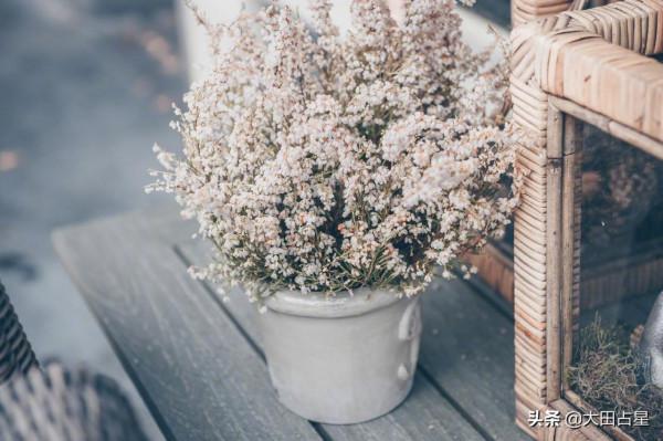 即將立冬，這幾個星座的好運氣要來了