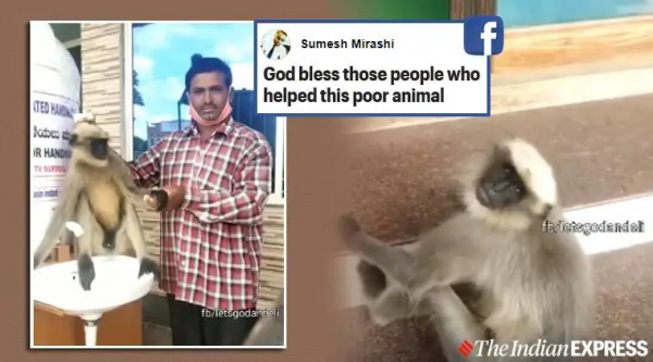 美國一隻小鹿受重傷後，自己前往醫院“搭乘”自動扶梯問診