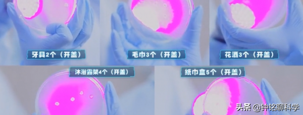 衝馬桶一定要蓋馬桶蓋！實驗告訴你，衝馬桶不蓋馬桶蓋風險有多大