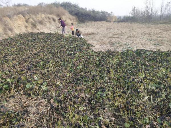 魯家峪的故事(2021－836)