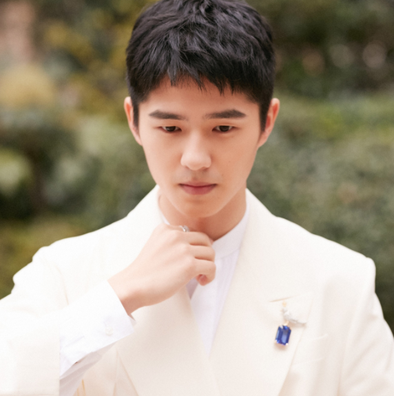 劉昊然考編成功，陳逸菲考上公務員，難道明星也偏愛鐵飯碗