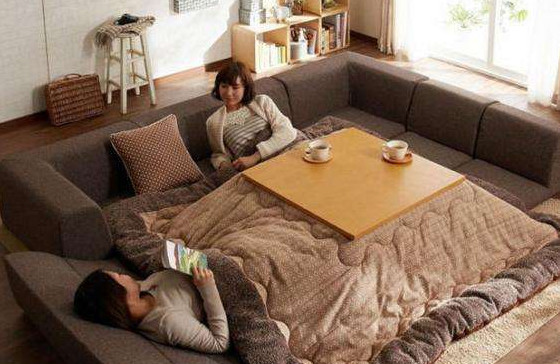 在日本,幾乎家家都有的“過冬神器”,為什麼國內沒有人用? 在日本,幾乎家家都有的“過冬神器”,為什麼國內沒有人用?