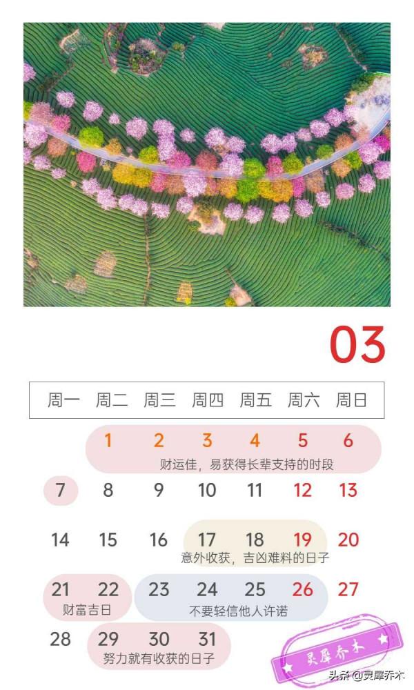 靈犀喬木月運｜白羊座2022年3月運勢：珍惜善緣 意外支援