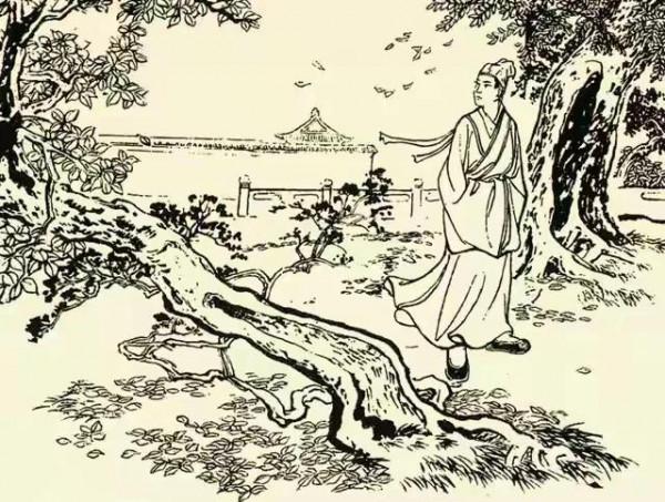 民間故事：男子救了母猴，母猴夜間託夢說，晚上吃飯千萬別喝湯