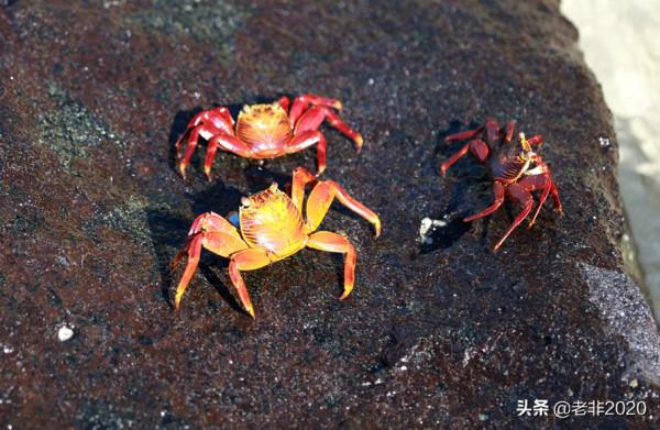 老婆指著地圖說：我不管，你必須掙錢！這輩子我要走遍這4個島