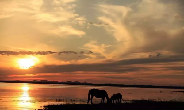 這6個省的名字在中國地圖上消失了，留下來的風景卻美上了天