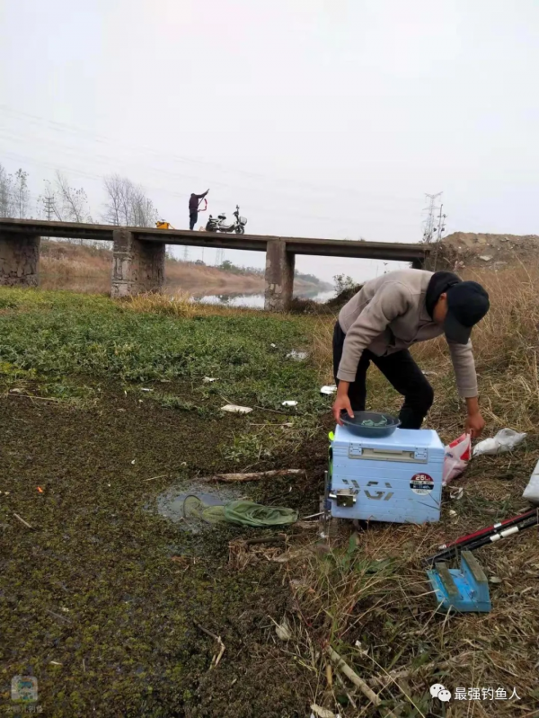 就這小野河，居然能釣這麼多魚