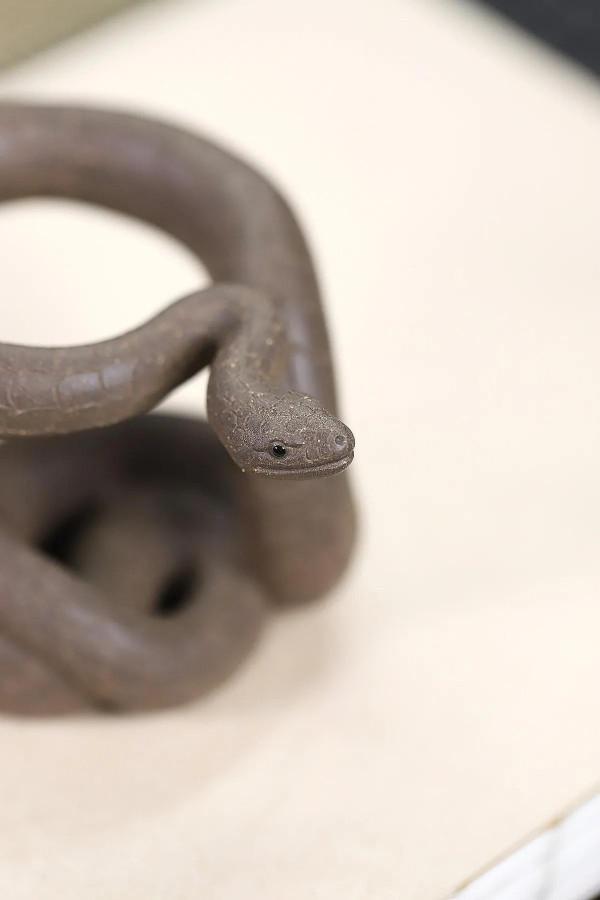 靈蛇，逼真嗎？