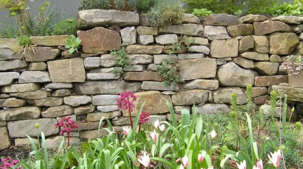 你認識花園牆嗎？一起來看看如何建造一面花園牆