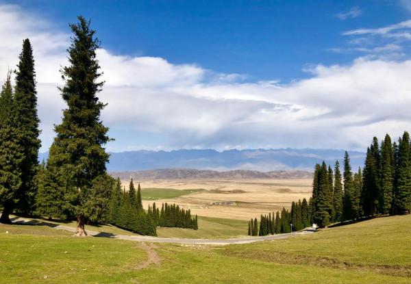 盤點新疆北疆旅遊十大必去景點（5）：東方小瑞士-那拉提草原