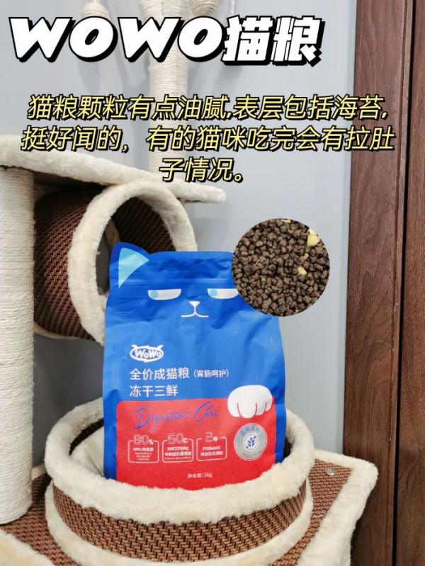 5年養貓經驗，手把手教你怎麼選貓糧