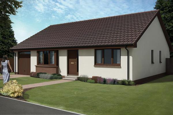 農村沒人要的平房，6萬塊錢買下來，花2萬裝修，養花正好