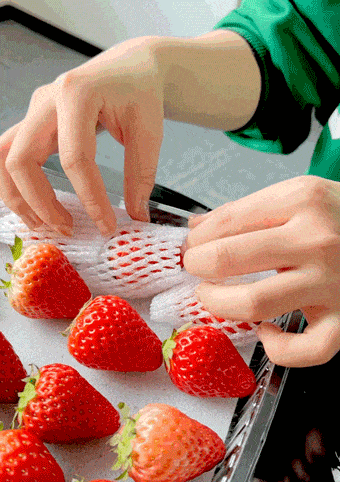 拼多多水果實測｜銷量第一的水果真的便宜又好吃嗎？