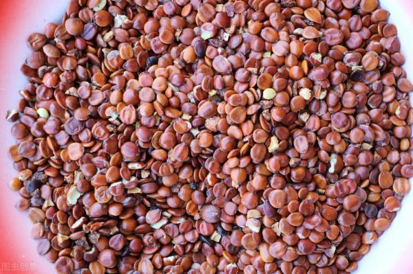 「收藏」失眠、健忘、乏力、煩躁，常用這8種安神類中成藥