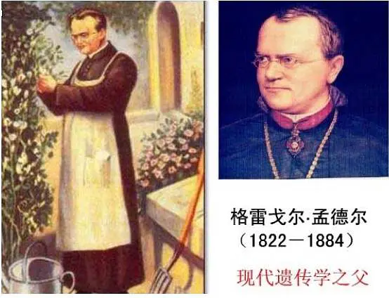 龍生九子，九子各不同，這可和基因有很大關係