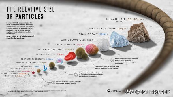 視覺化粒子的相對大小