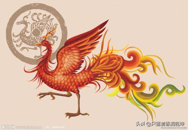 有哪些雌雄難辨的動物? 有哪些雌雄難辨的動物?