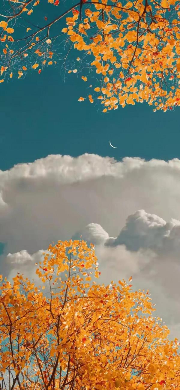 美好的東西分享給大家，特別是第十一張