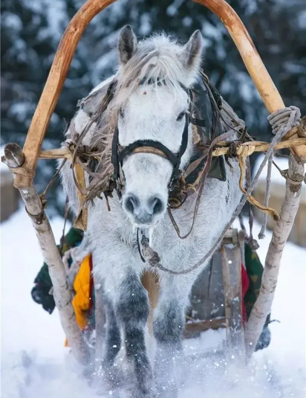 年初的旅行計劃都實現了嗎？這12個地方人少景美，再不去就晚了