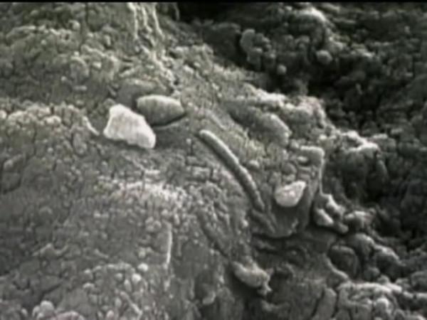 火星上有過生命嗎?早在25年前就被證明,隕石ALH84001的故事 火星上有過生命嗎?早在25年前就被證明,隕石ALH84001的故事