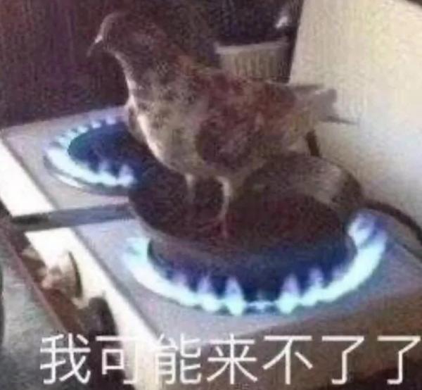 《朗讀者》三年後重回央視黃金檔！第一期就被董卿對話張桂梅破防