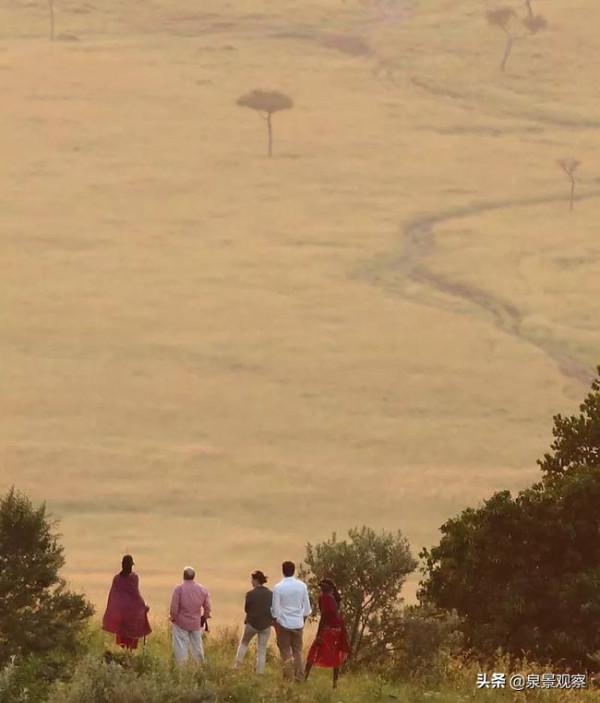 當年擊敗《英雄》,拿下奧斯卡最佳外語片的是這部肯亞拍的電影 當年擊敗《英雄》,拿下奧斯卡最佳外語片的是這部肯亞拍的電影