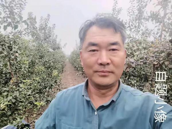 為人民服務--毛澤東1893年12月26日（原創）