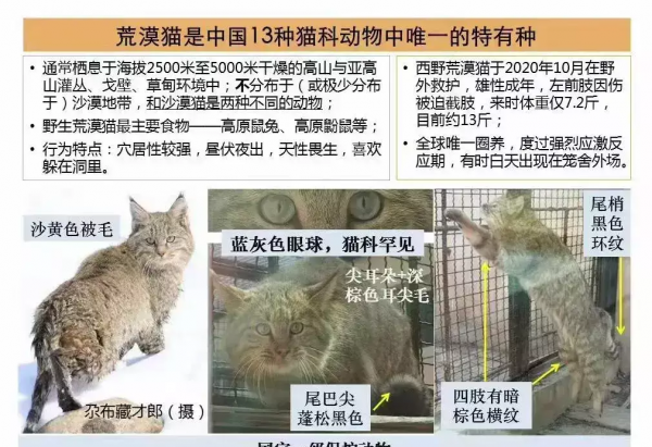 中國“最窮”的動物園 在中國最高的地方