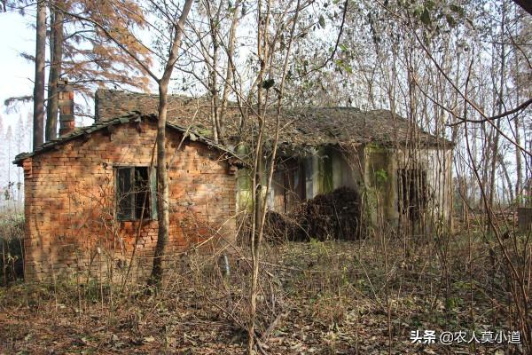 農村裡面危房被拆除後,宅基地還是屬於原來的戶主了嗎? 農村裡面危房被拆除後,宅基地還是屬於原來的戶主了嗎?