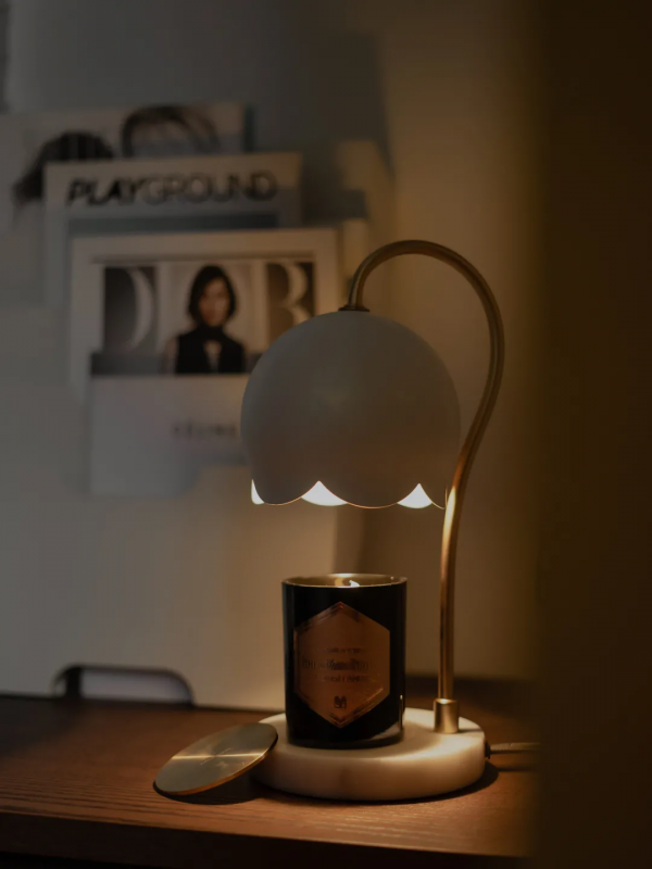 別攔我！我要野性消費！爆好用的高品質好物合集！（2元起）