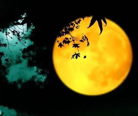 沒有月餅的中秋節