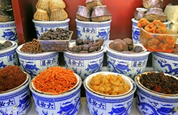 思必遠研學∣前所未“遊”！真正的旅遊學習並非“候鳥式補課”