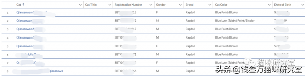 買貓防坑指南2:血統證書約等於沒用,同等品相就選便宜的無證貓 買貓防坑指南2:血統證書約等於沒用,同等品相就選便宜的無證貓